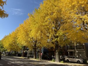 八王子いちょう祭り