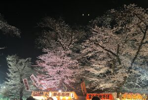 今年の花見は行きましたか？