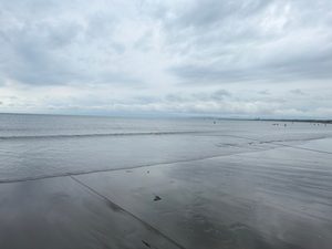江の島地引網体験